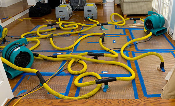 Professional Emergency Water Removal technician working in Aquebogue, NY